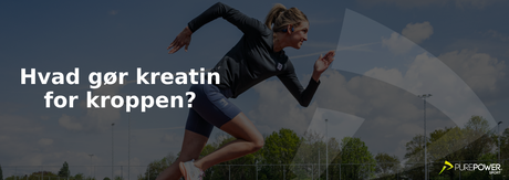 Hvad gør kreatin for kroppen? Eksplosivitet og muskelopbygning
