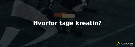 Hvorfor tage kreatin? – Fordelene for din træning