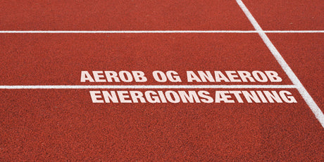 Aerob og Anaerob energiomsætning, hvis du vil være seriøs med din træning