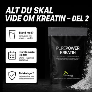 Kreatin Starter Pack