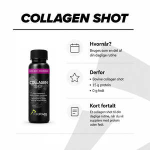 Recovery Routine Pack